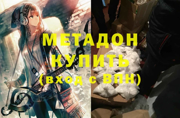шишки Абаза
