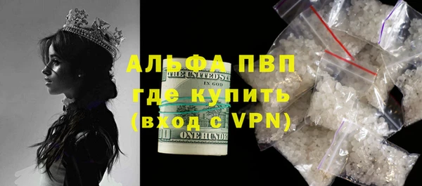 шишки Абаза