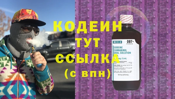 шишки Абаза