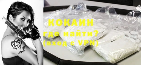шишки Абаза
