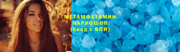 шишки Абаза