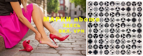 шишки Абаза