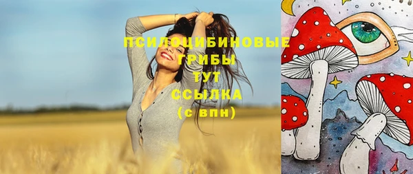 шишки Абаза